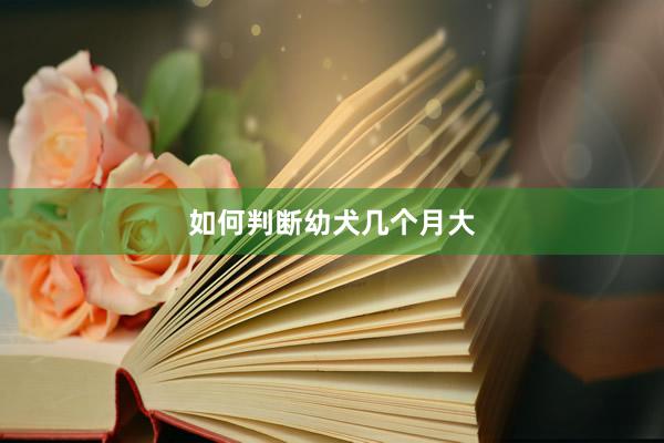 如何判断幼犬几个月大