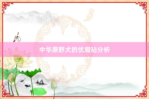 中华原野犬的优瑕玷分析